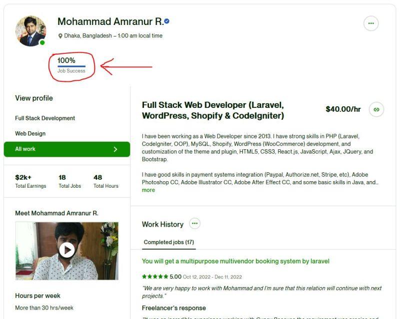 100% Job Success on Upwork